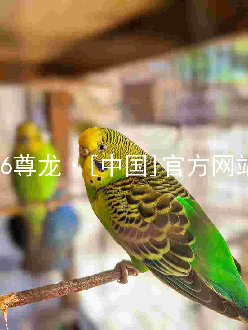 z6尊龙·[中国]官方网站