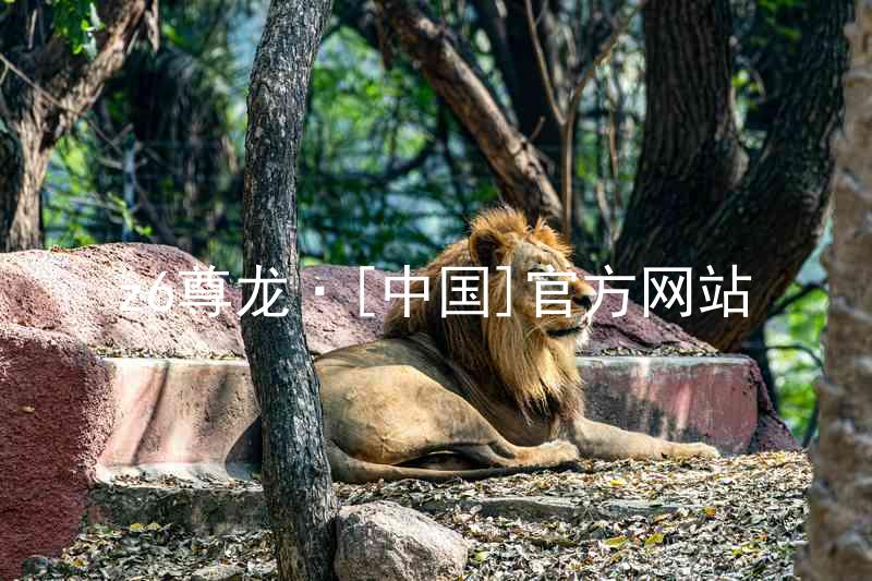 z6尊龙·[中国]官方网站